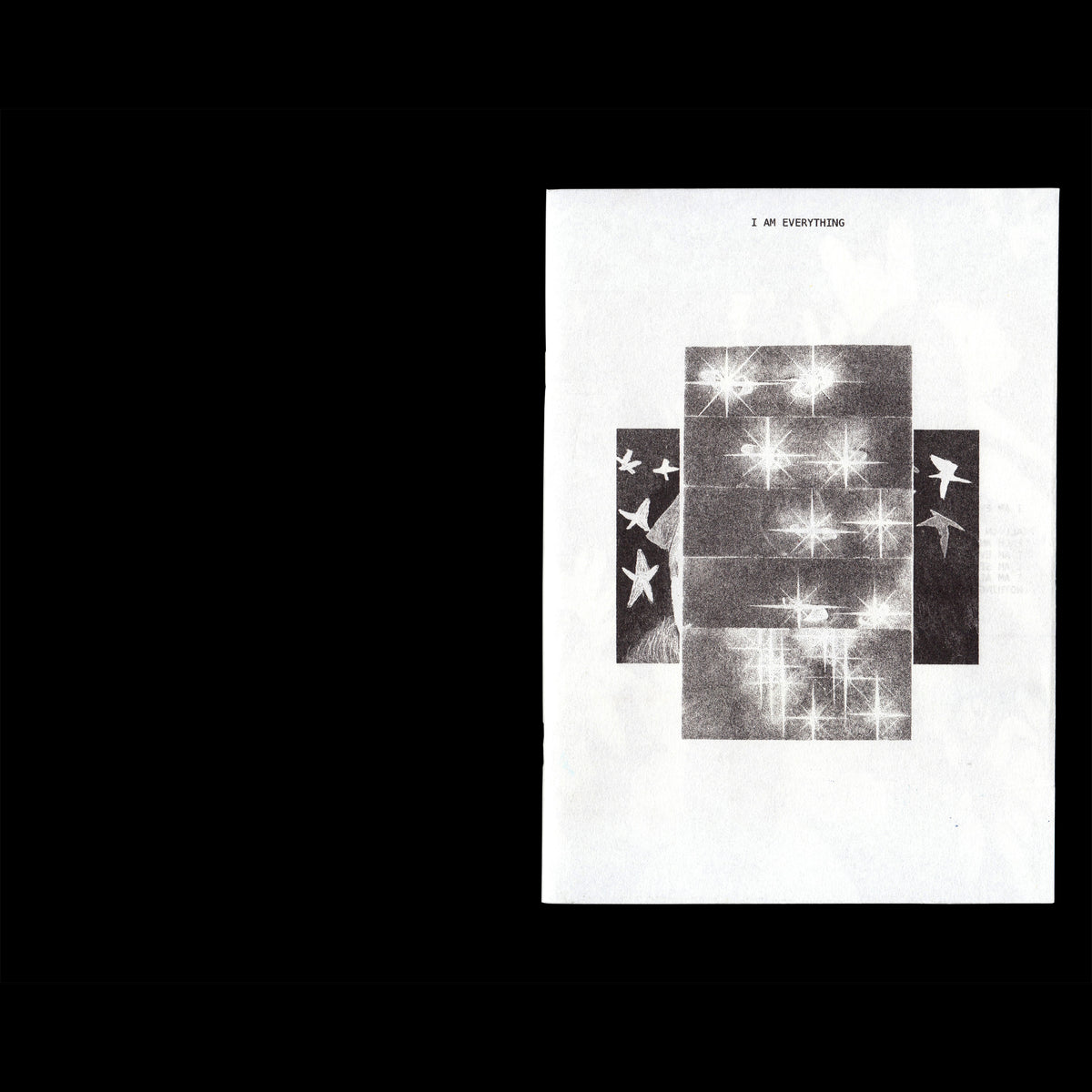 Ssaliva, ‘I AM EVERYTHING I̸M̸ ̸N̸O̸T̸H̸I̸N̸G̸’ Zine
