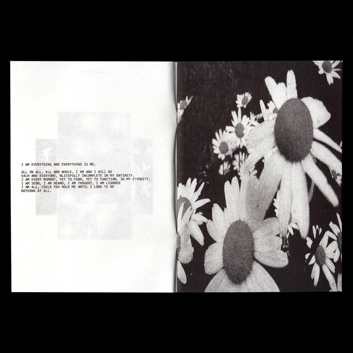 Ssaliva, ‘I AM EVERYTHING I̸M̸ ̸N̸O̸T̸H̸I̸N̸G̸’ Zine