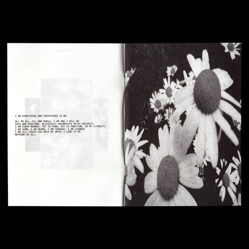 Ssaliva, ‘I AM EVERYTHING I̸M̸ ̸N̸O̸T̸H̸I̸N̸G̸’ Zine