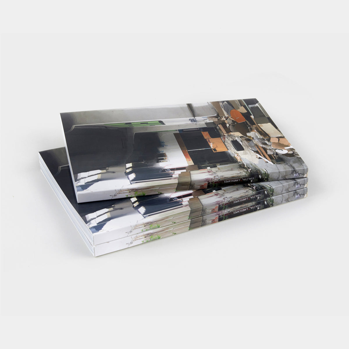 ssaliva, ‘Landscape’ Book