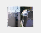 ssaliva, ‘Landscape’